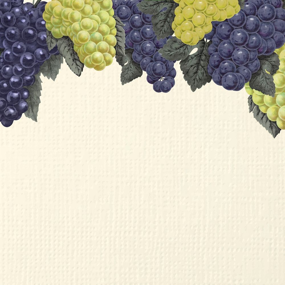 Grape border frame, botanical background for social media post vector