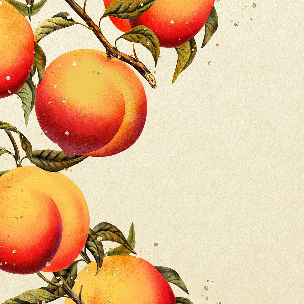 Peach border frame, botanical background for social media post