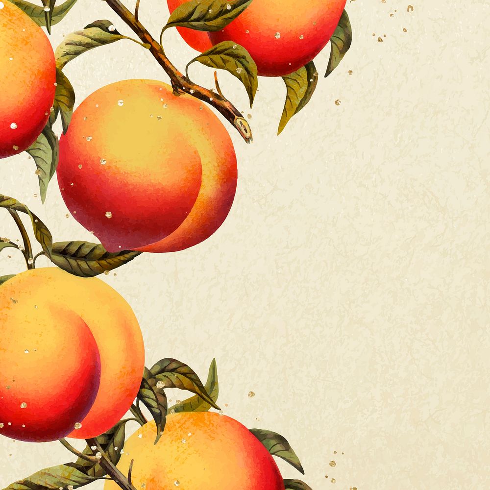 Peach border frame, botanical background for social media post vector