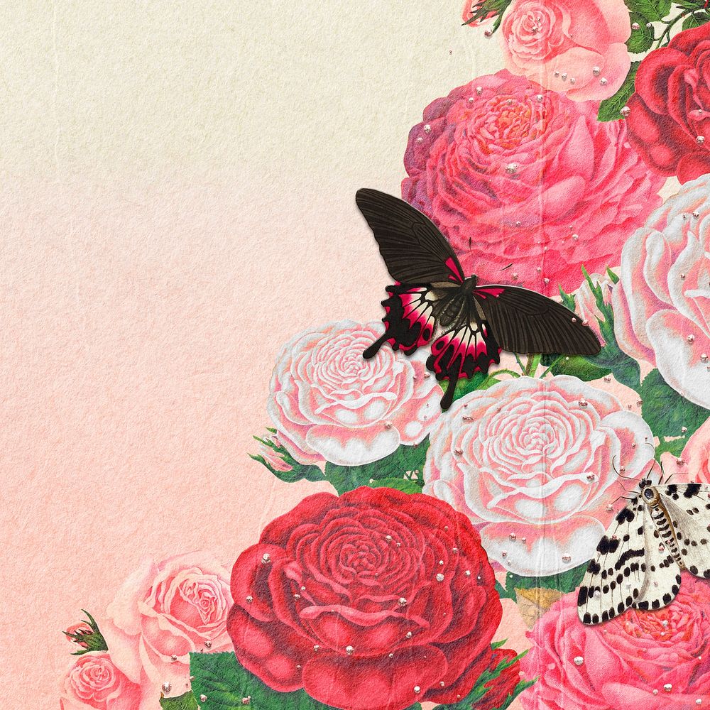 Pink flower border frame, botanical background for social media post