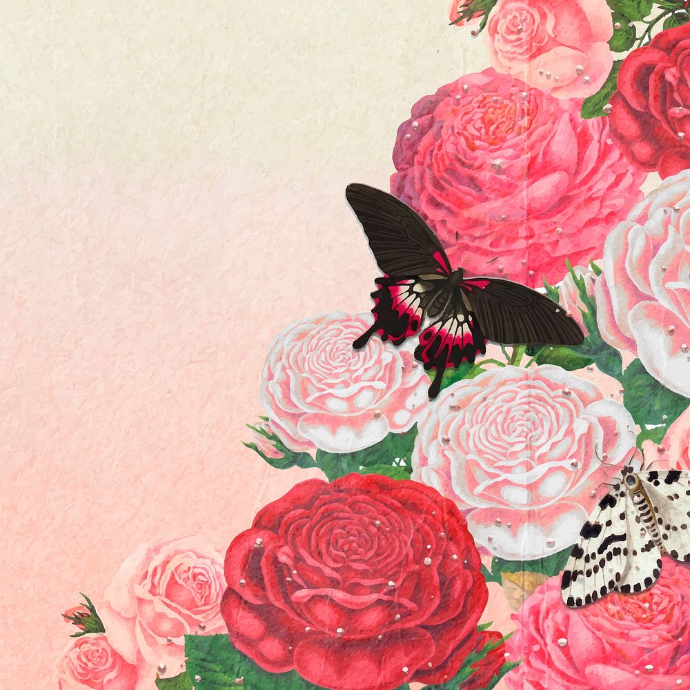 Pink flower border frame, botanical background for social media post vector