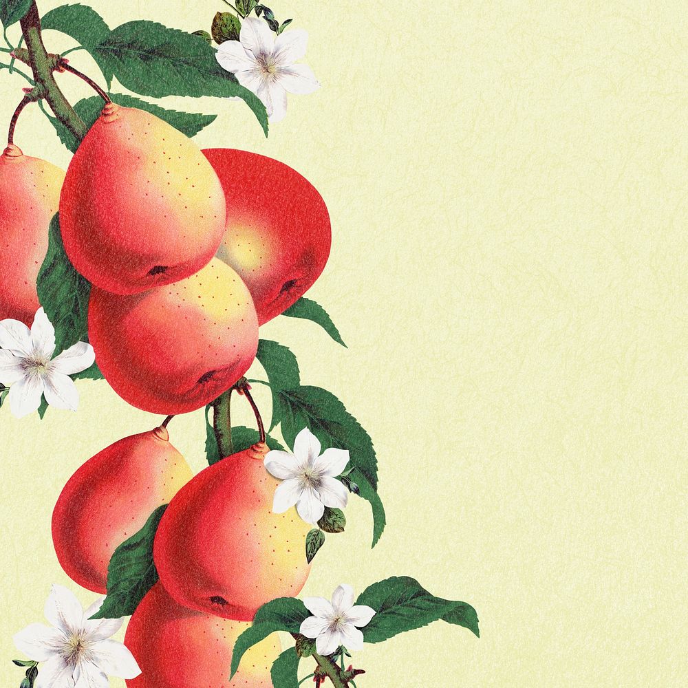 Pear tree border frame, botanical background for social media post