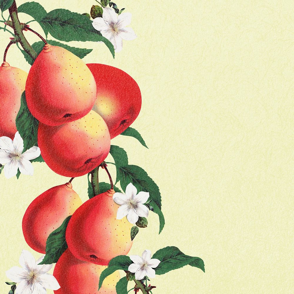 Pear tree border frame, botanical background for social media post psd