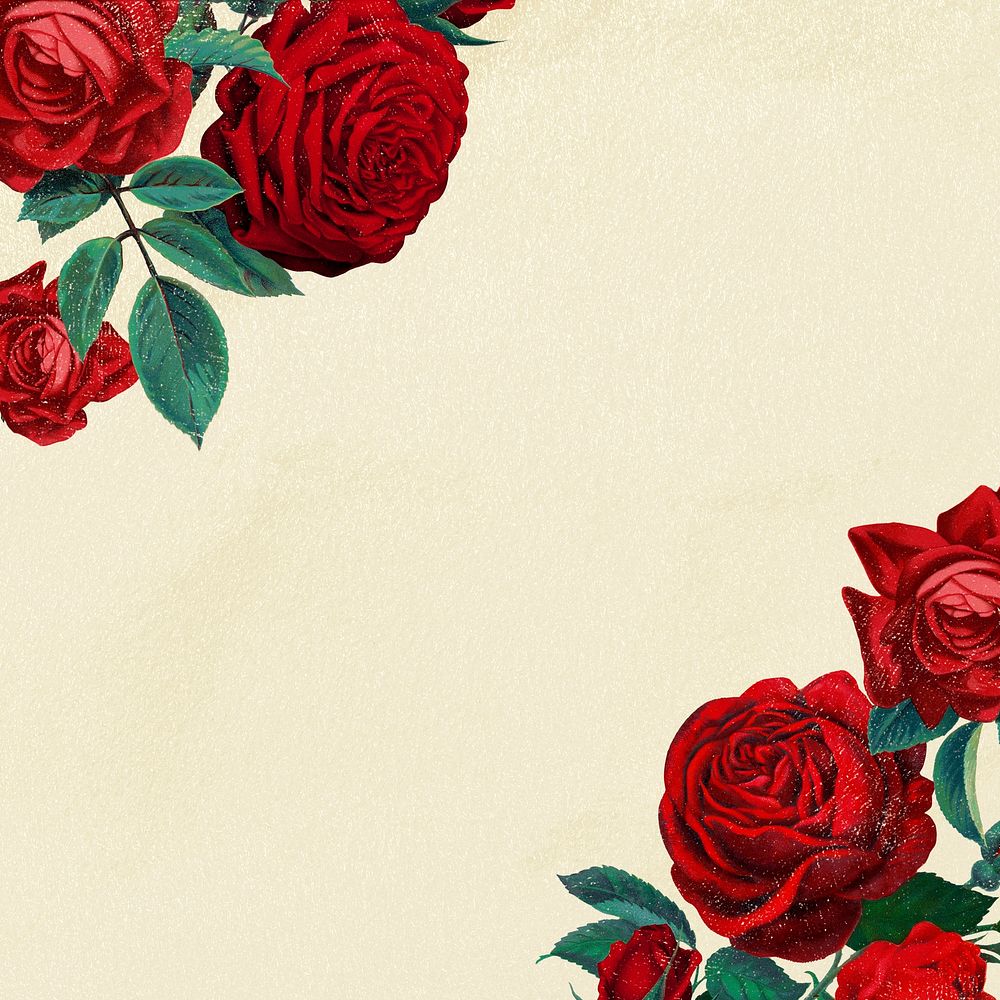 Red rose border frame, botanical background for social media post