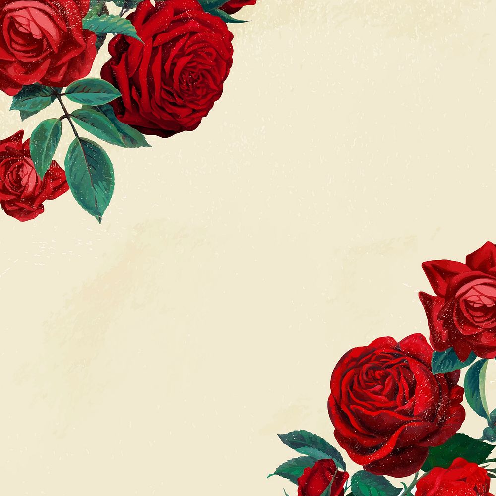 Red rose border frame, botanical background for social media post vector