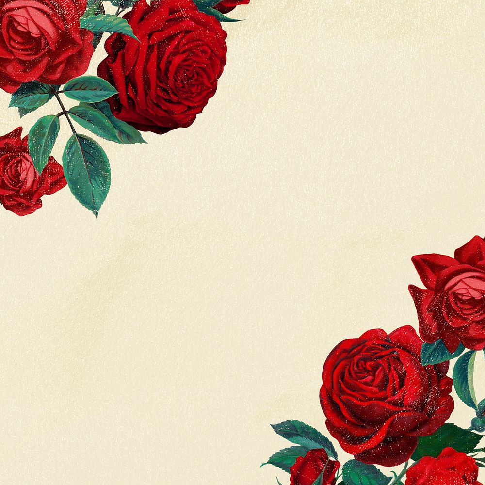 Red rose border frame, botanical background for social media post psd