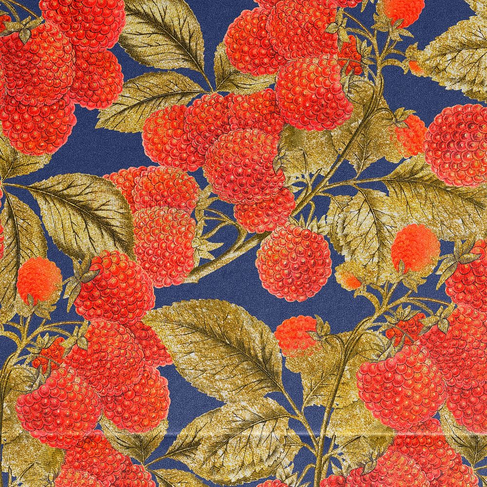 Vintage berry background, aesthetic raspberry design