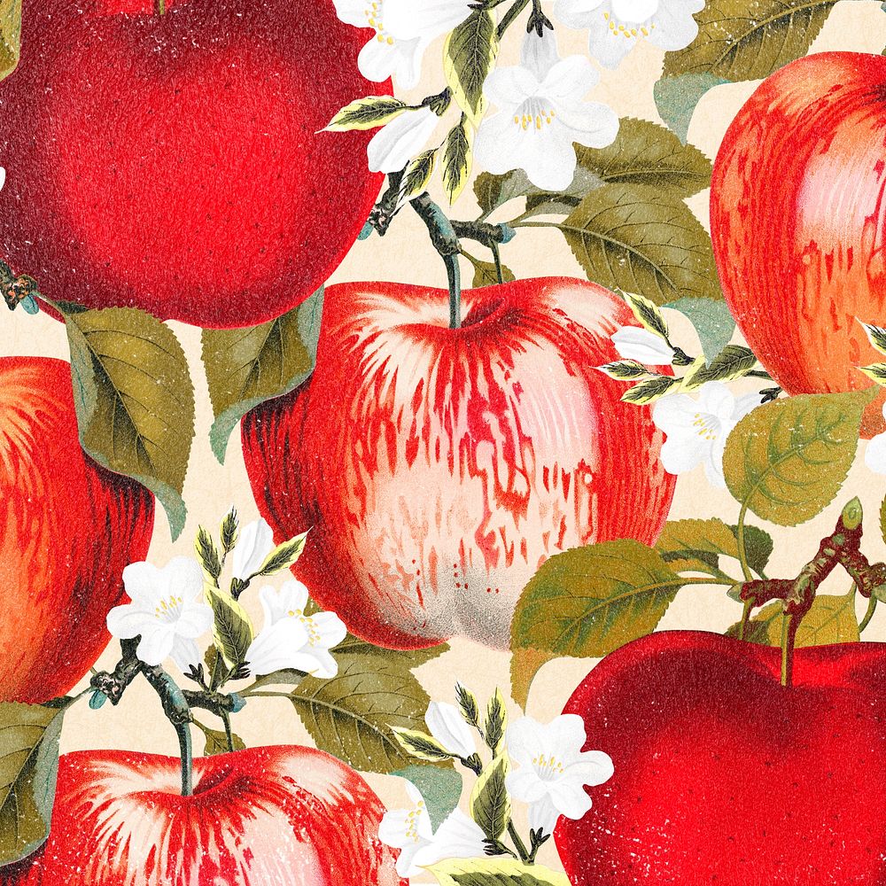 Red apple blossom background, vintage illustration psd