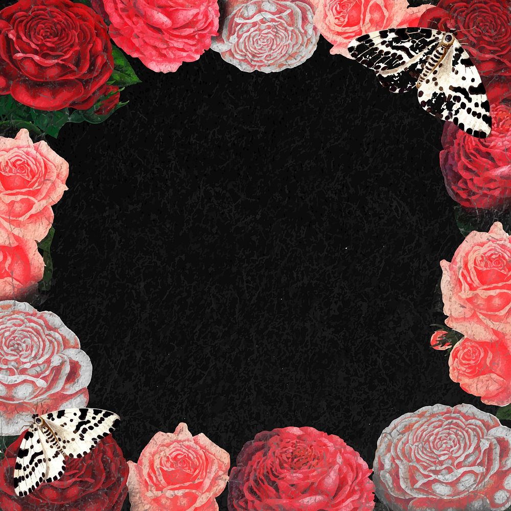 Pink rose frame, floral dark background vector