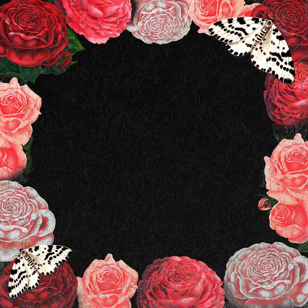 Rose frame, pink floral background