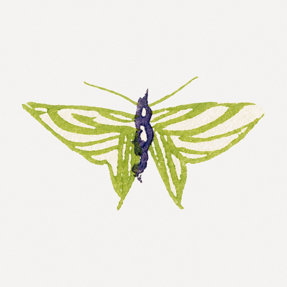 Green butterfly, Japanese drawing, vintage illustration psd