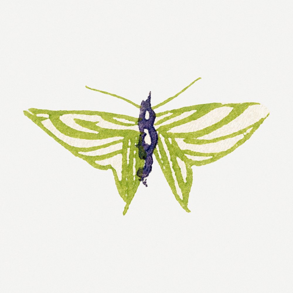 Green butterfly, Japanese drawing vintage illustration