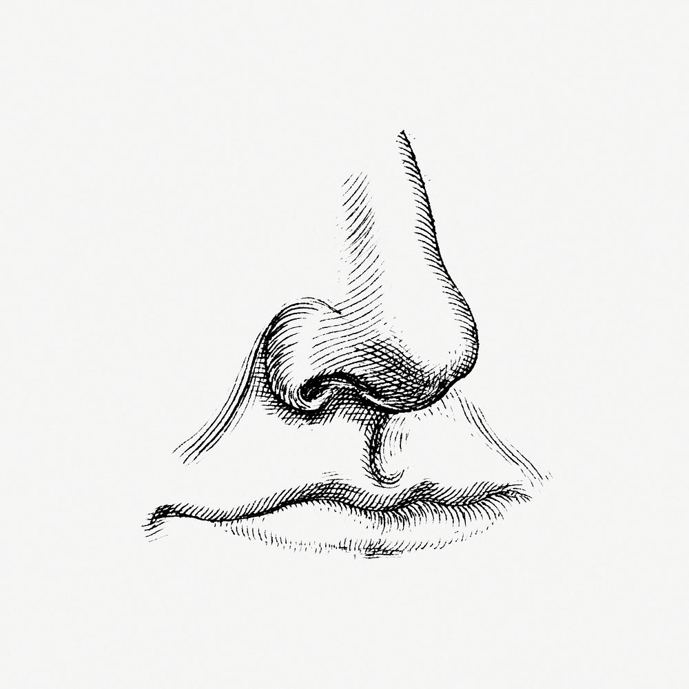 Human nose and mouth monochrome vintage illustration