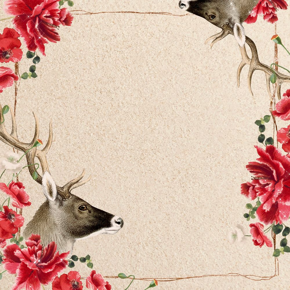 Flower frame, wildlife illustration vector  