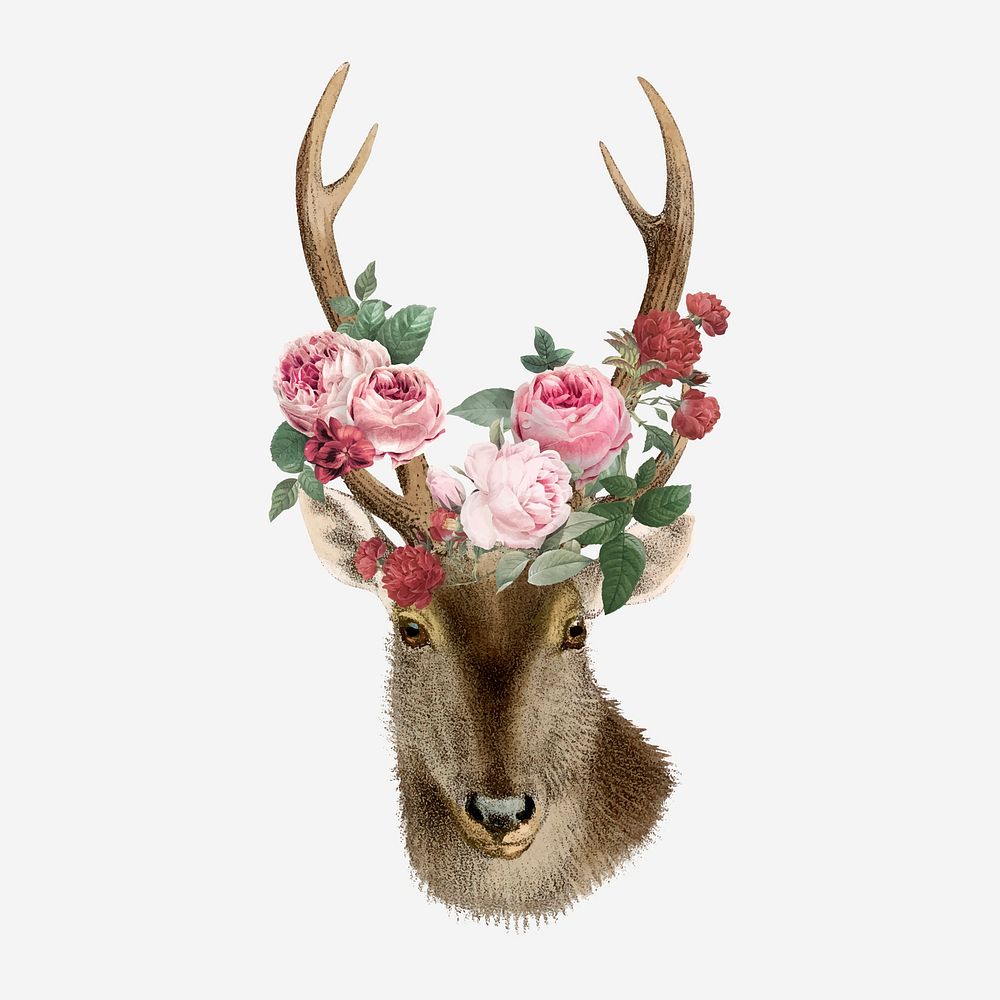 Deer collage element, vintage wildlife & flower illustration vector  