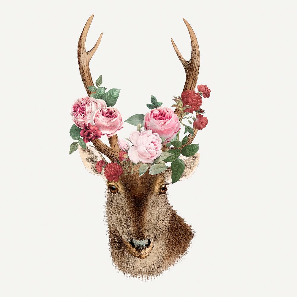 Vintage deer illustration, wildlife & flower drawing  