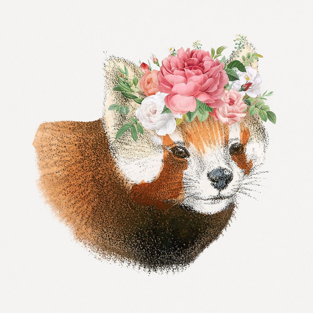 Red panda collage element, vintage animal & flower drawing psd  