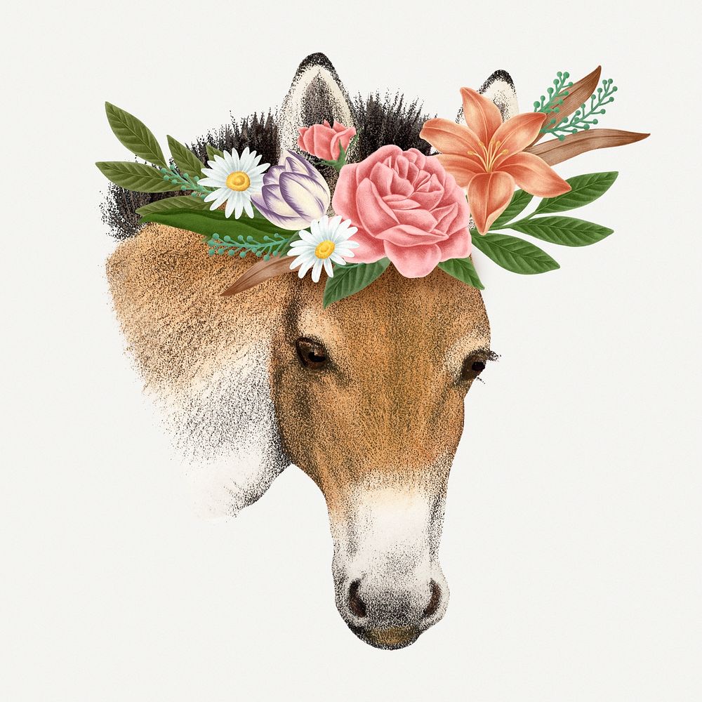 Vintage Przewalksi horse illustration, wildlife & flower drawing  