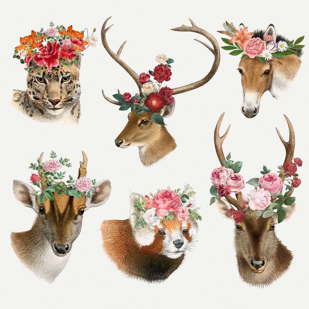 Animal drawing collage element, floral vintage hand drawn illustration psd set  