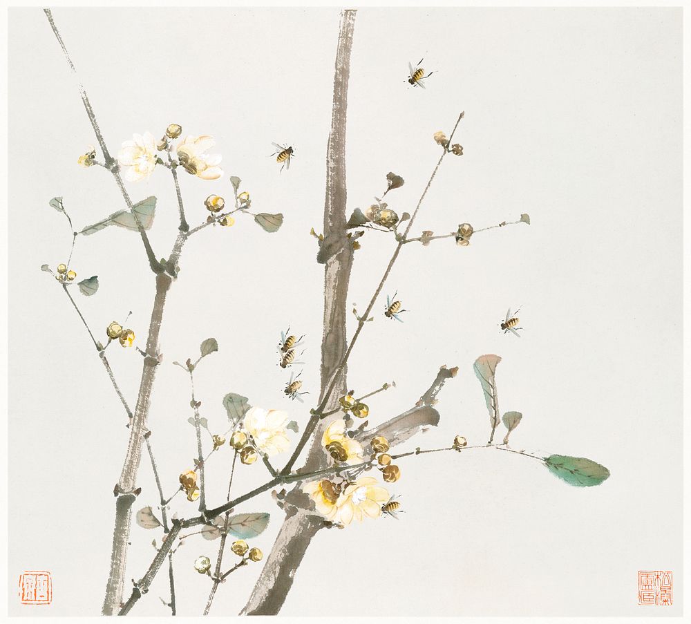 Chinese insects and flowers illustration