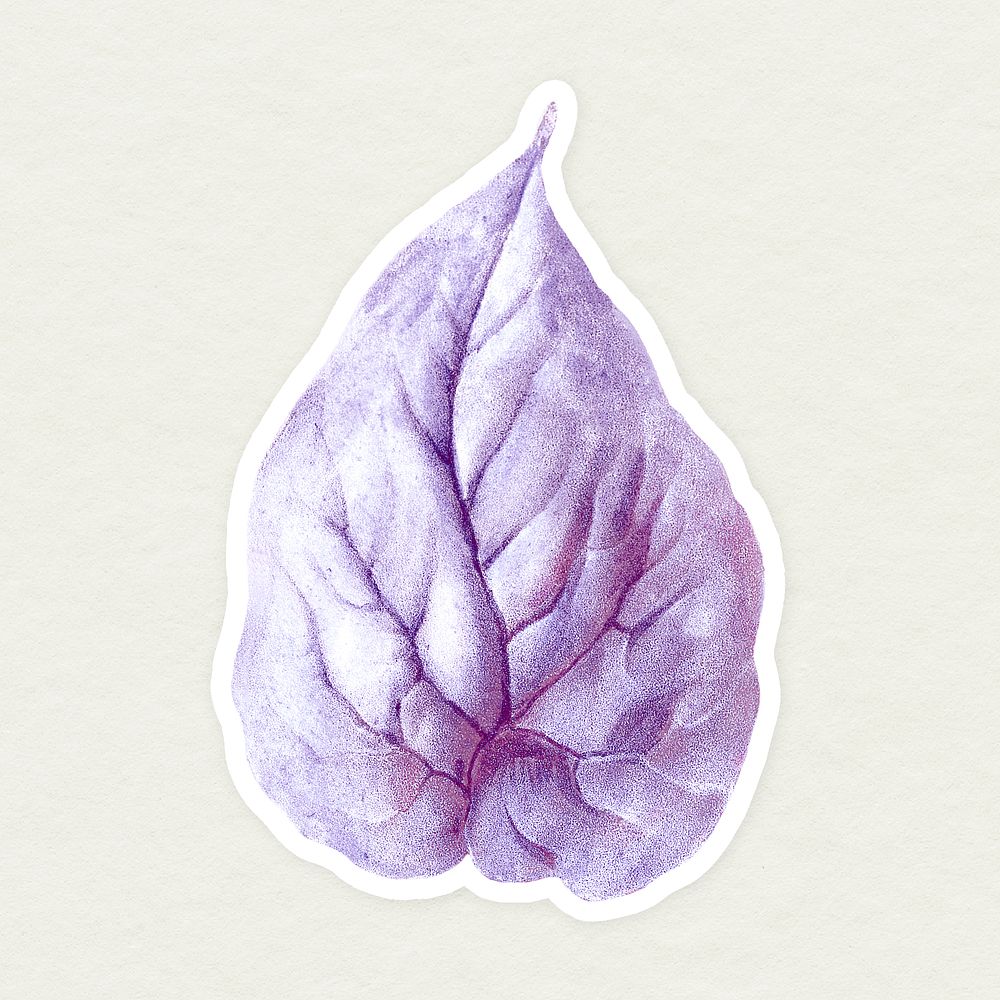 Vintage purple martynia flower leaf sticker with white border