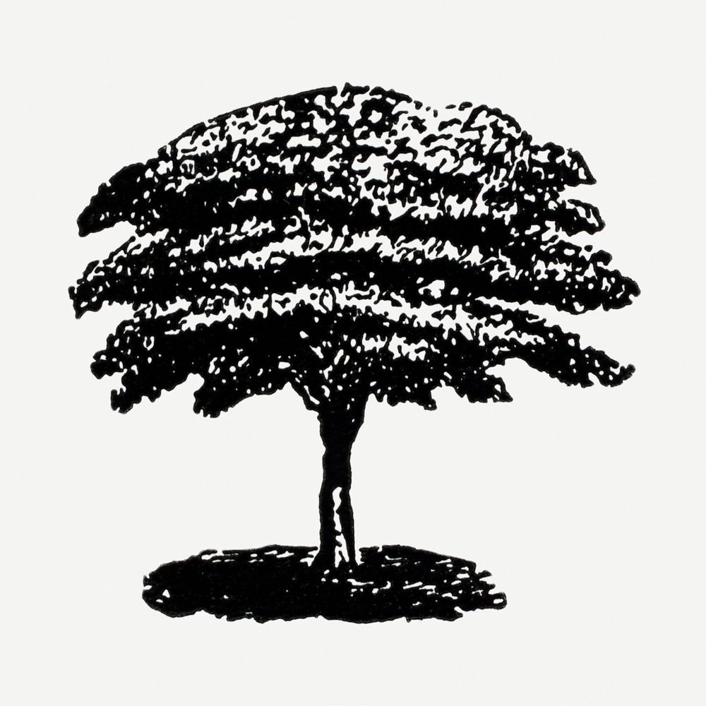 Tree sticker, black ink drawing psd, digitally enhanced from our own original copy of The Open Door to Independence (1915)…