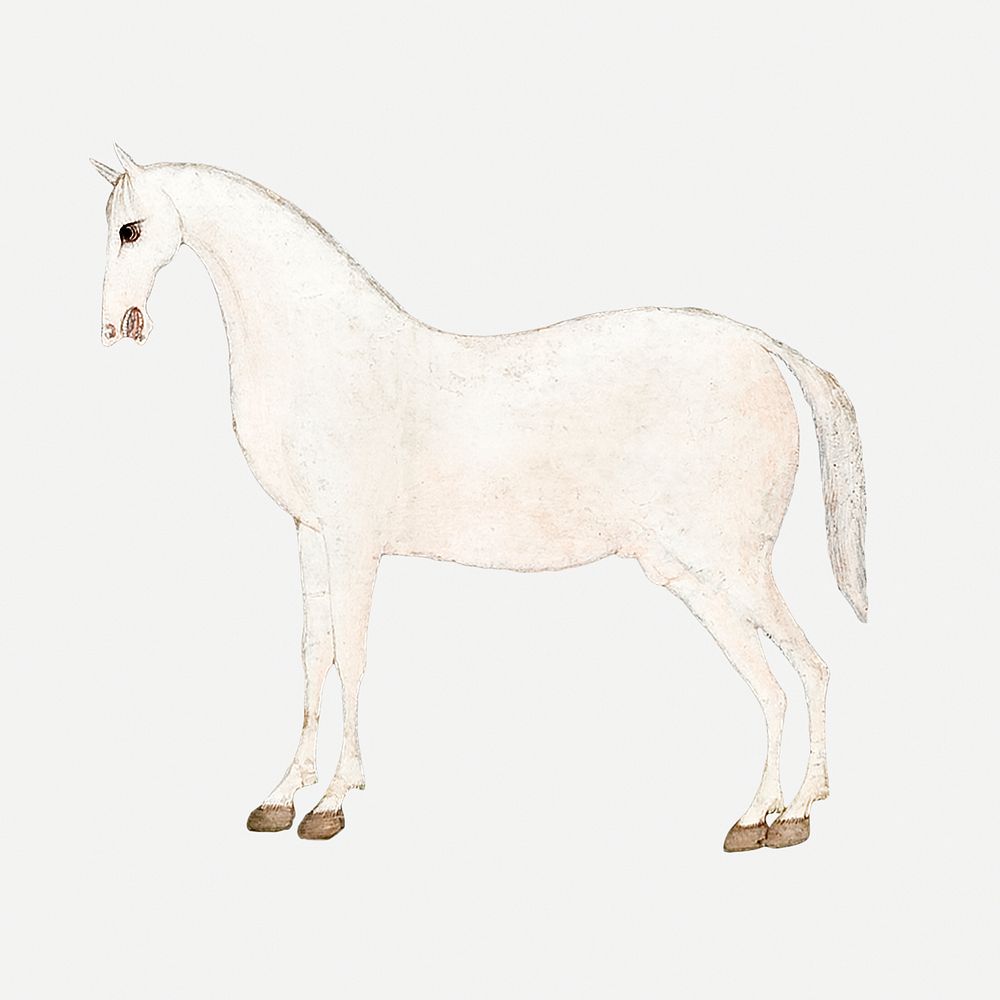 Vintage white Asian horse illustration, featuring public domain artworks