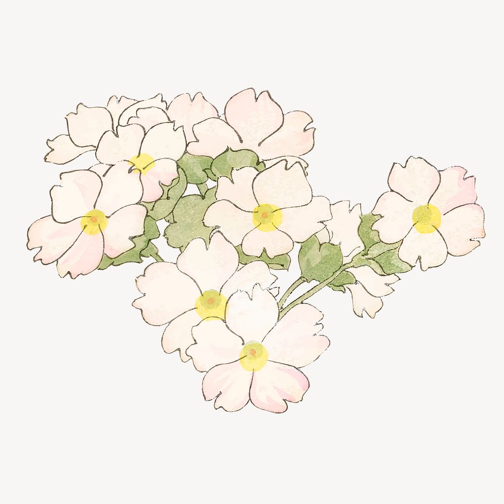 Primrose flower collage element, vintage Japanese art vector