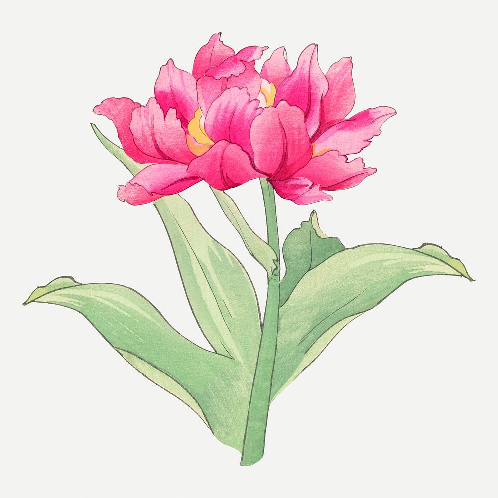 Pink tulip collage element, vintage Japanese art psd