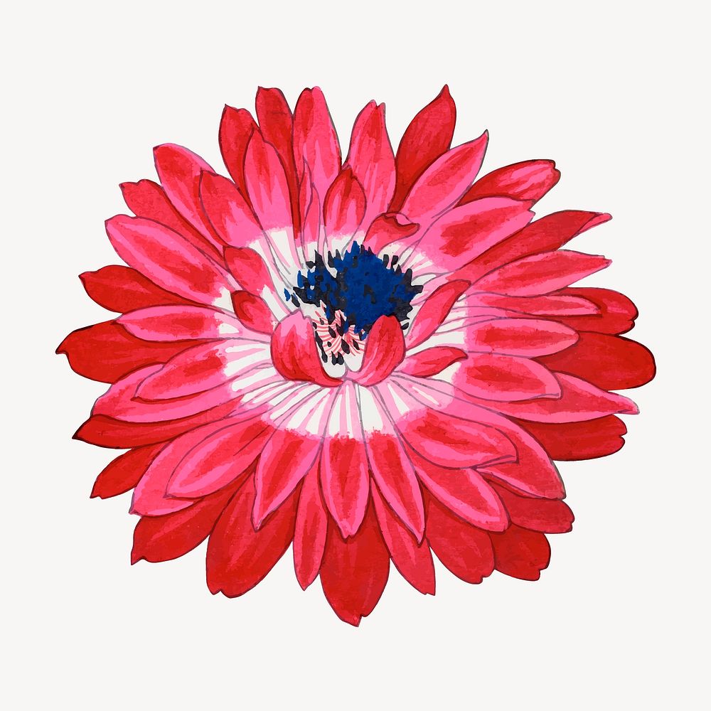 Poppy collage element, vintage Japanese art vector