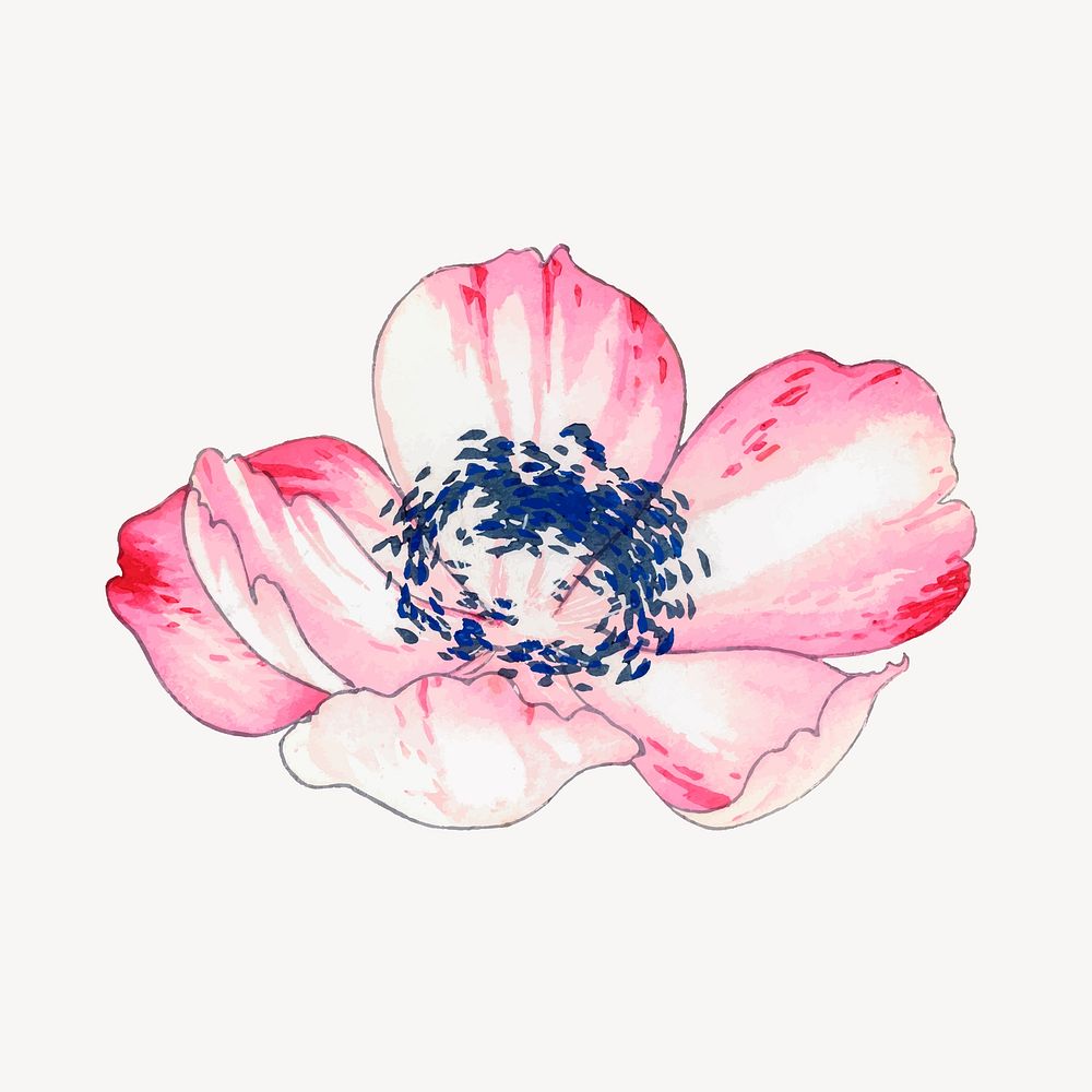 Poppy collage element, vintage Japanese art vector