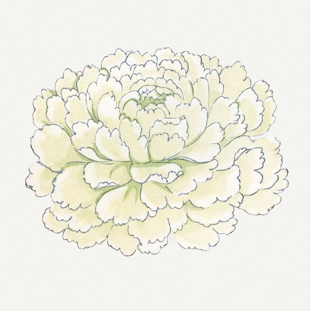 Anemone flower painting, vintage Japanese art illustration