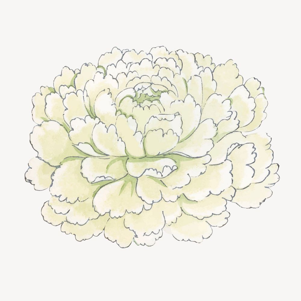 Anemone flower collage element, vintage Japanese art vector