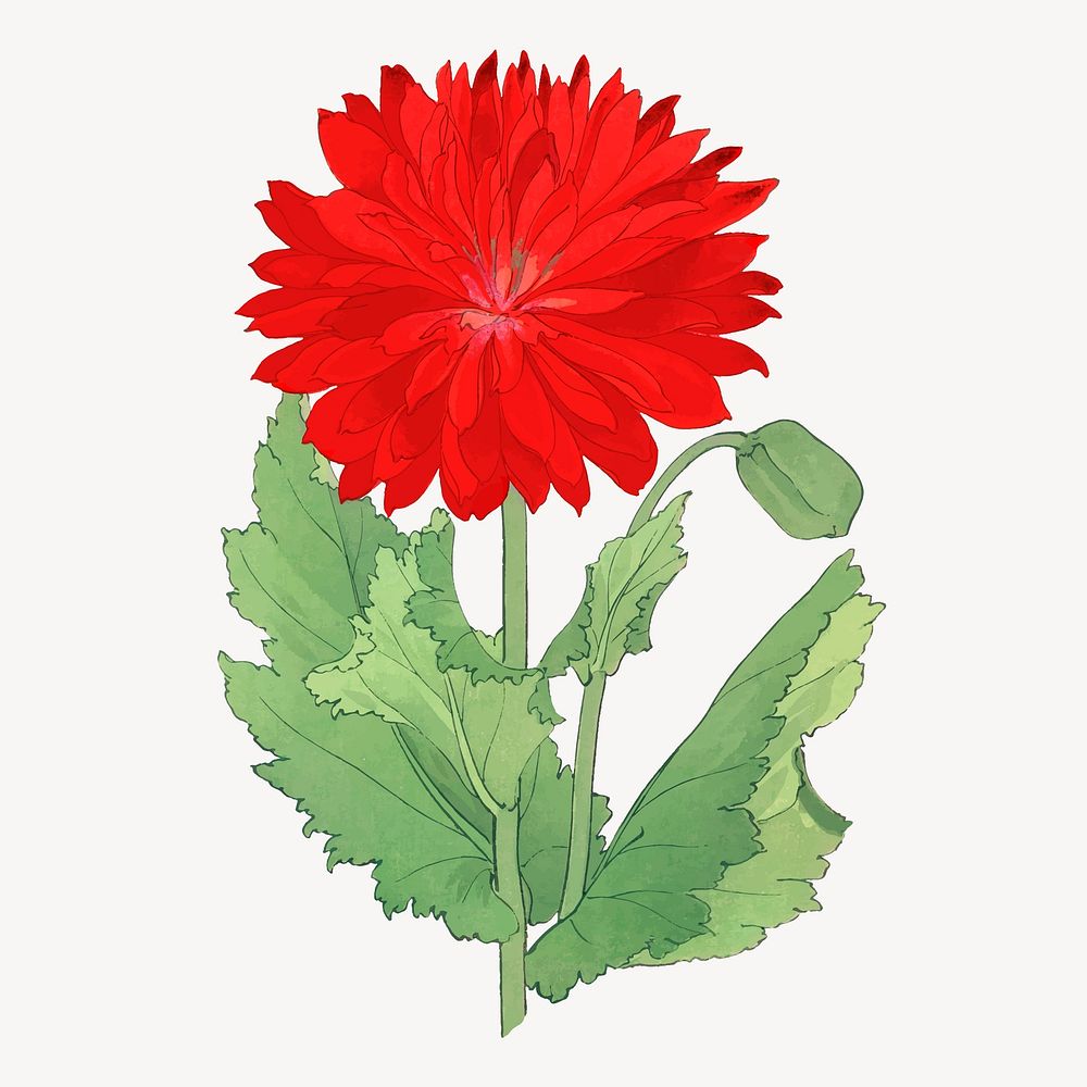 Poppy flower collage element, vintage Japanese art vector