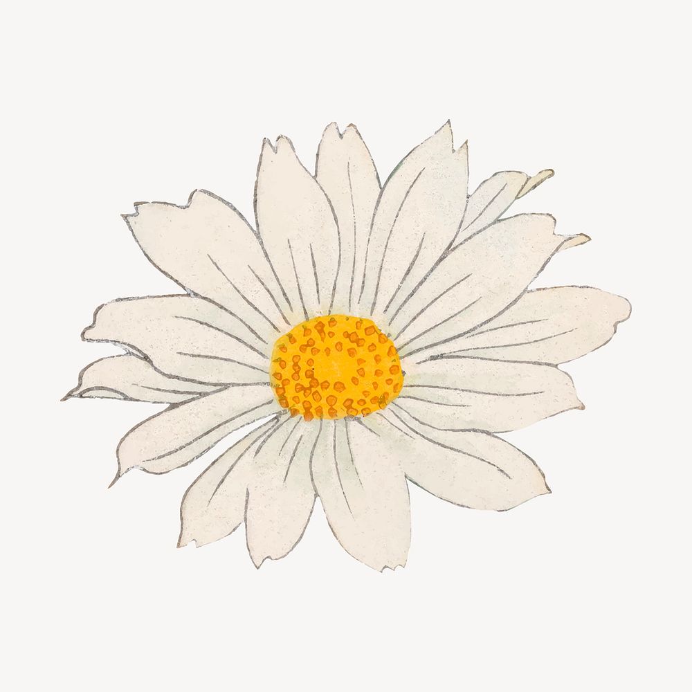 Marguerite flower collage element, vintage Japanese art vector