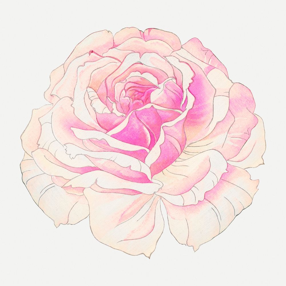 Pink rose collage element, vintage Japanese art psd