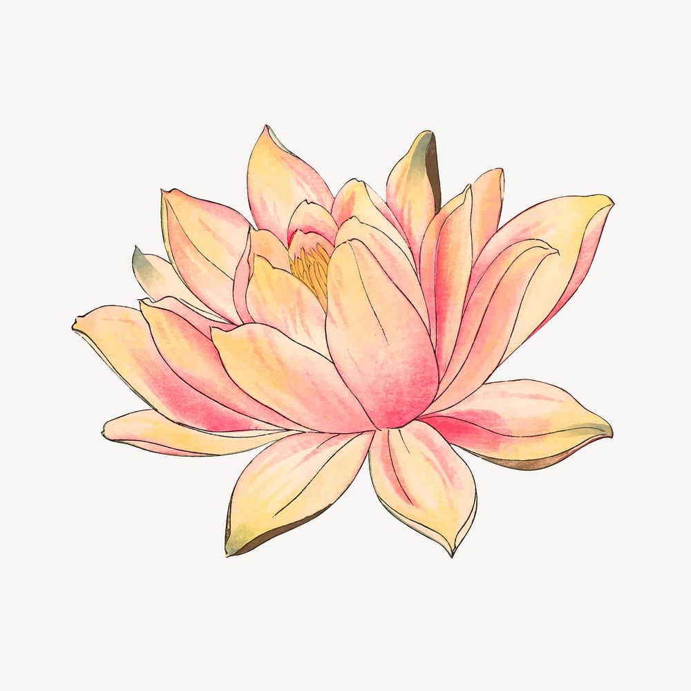 Lotus collage element, vintage Japanese art vector