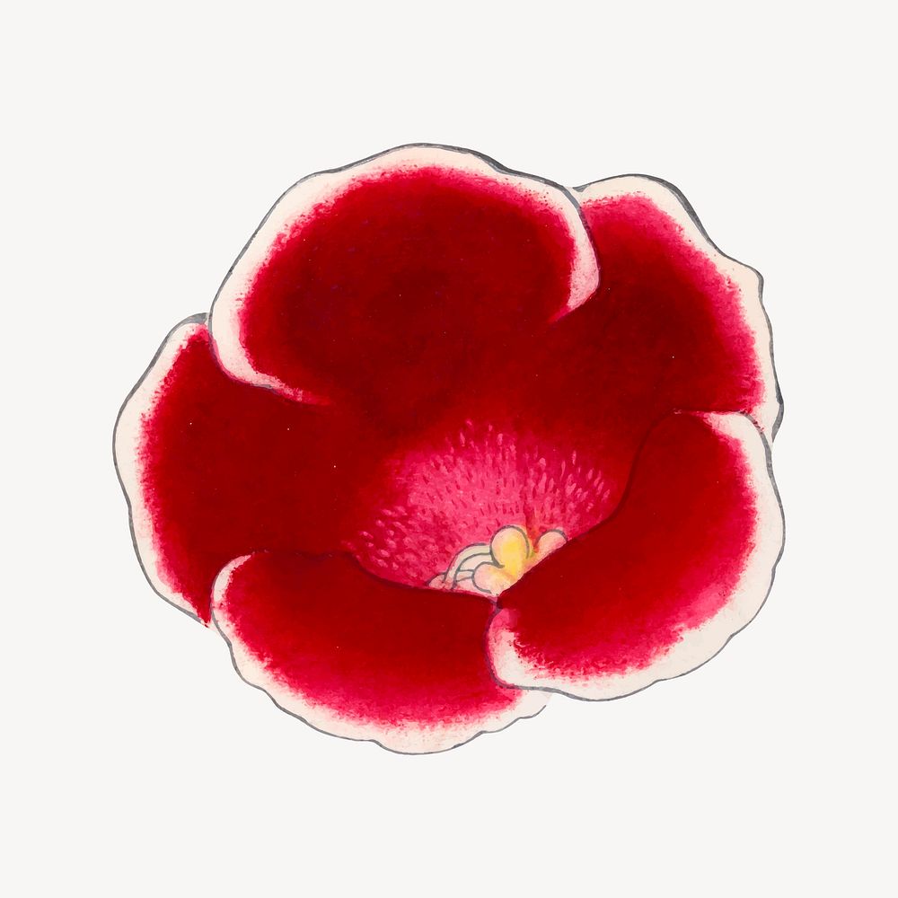 Gloxinia flower vintage clipart, vintage Japanese art vector