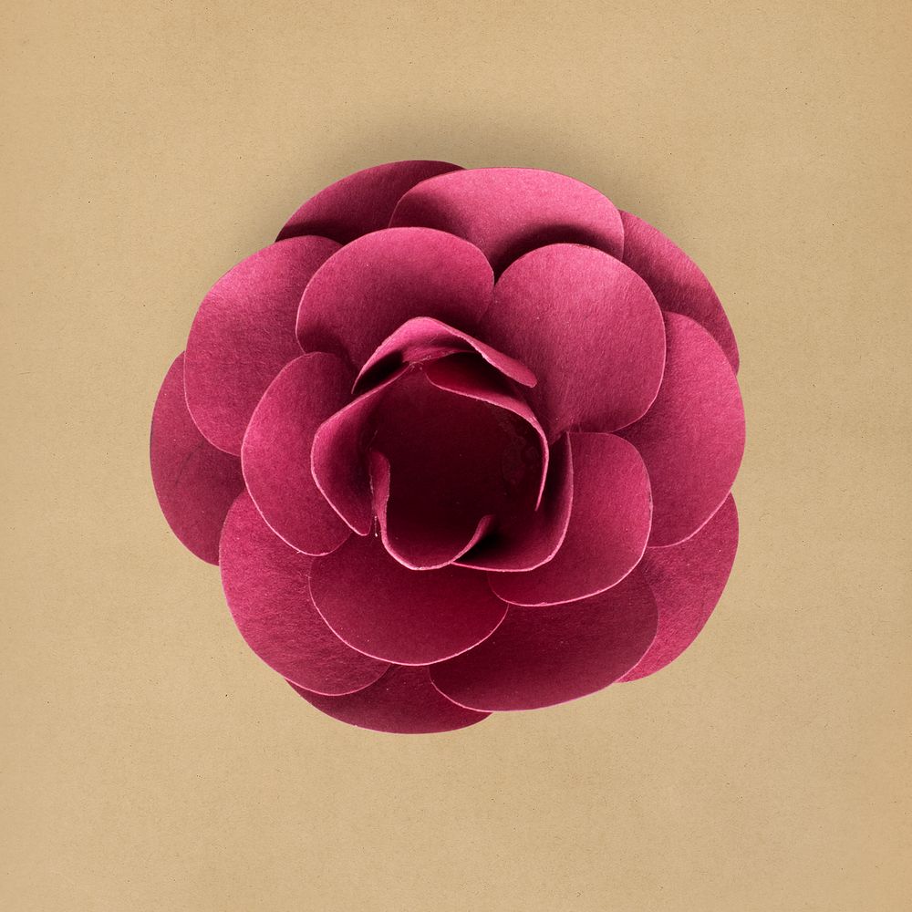 Rose crafted out of paper