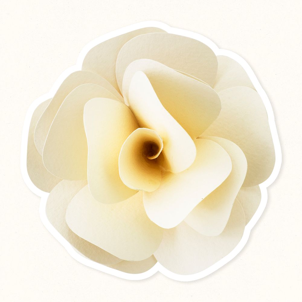 White rose 3D papercraft flower sticker psd