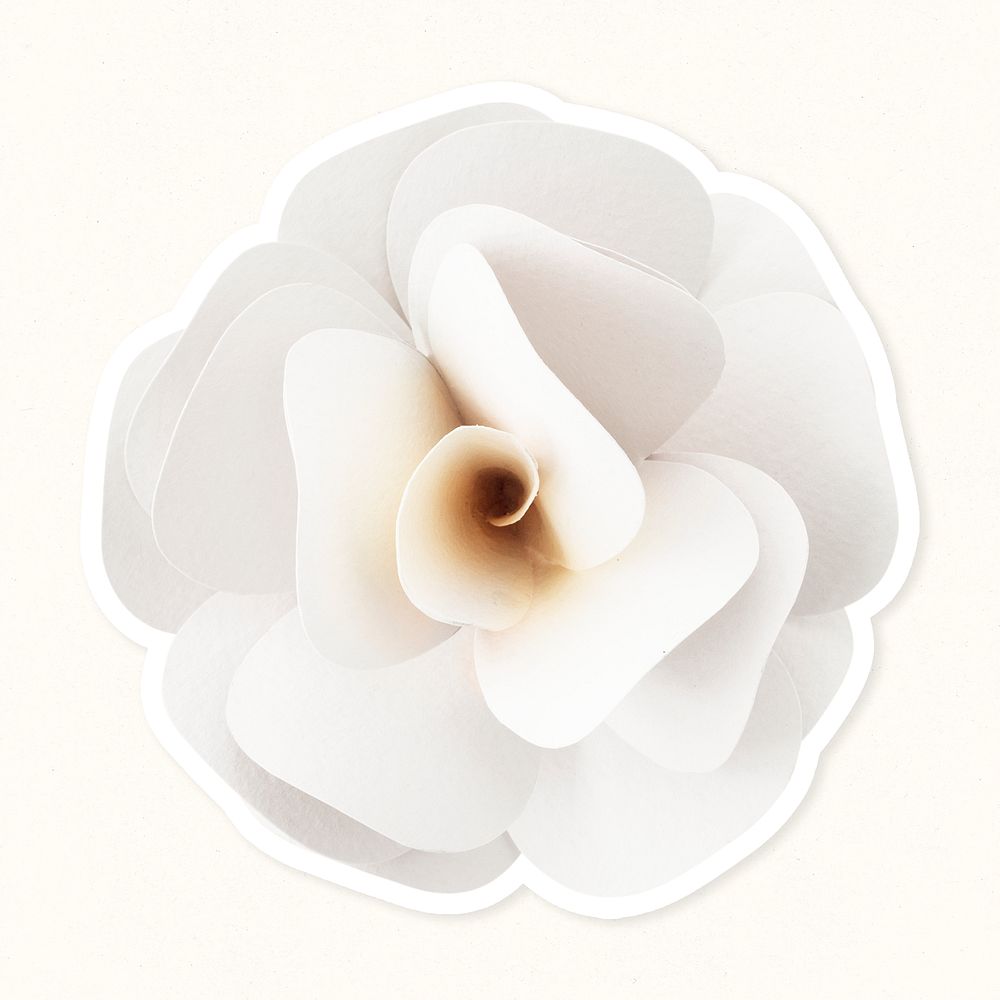 White rose 3D papercraft flower mockup
