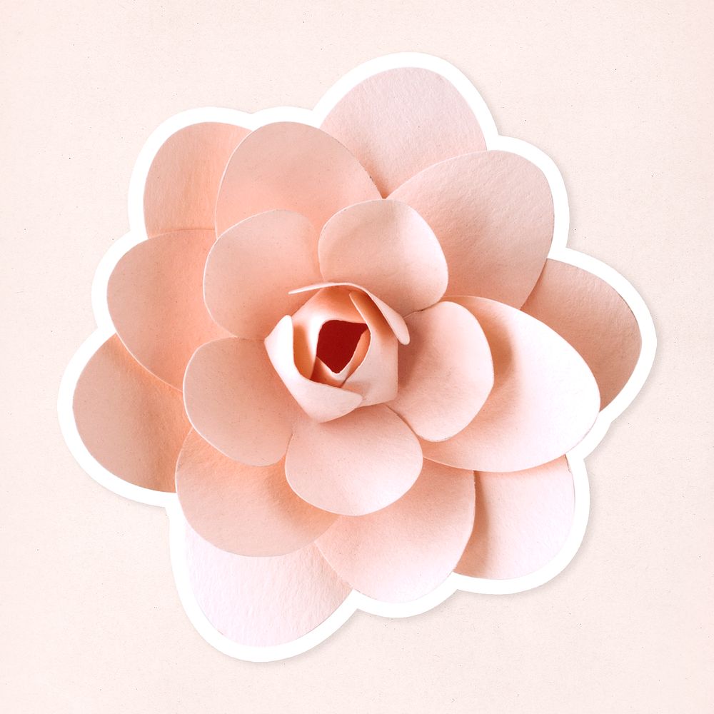 Camellia paper flower sticker psd