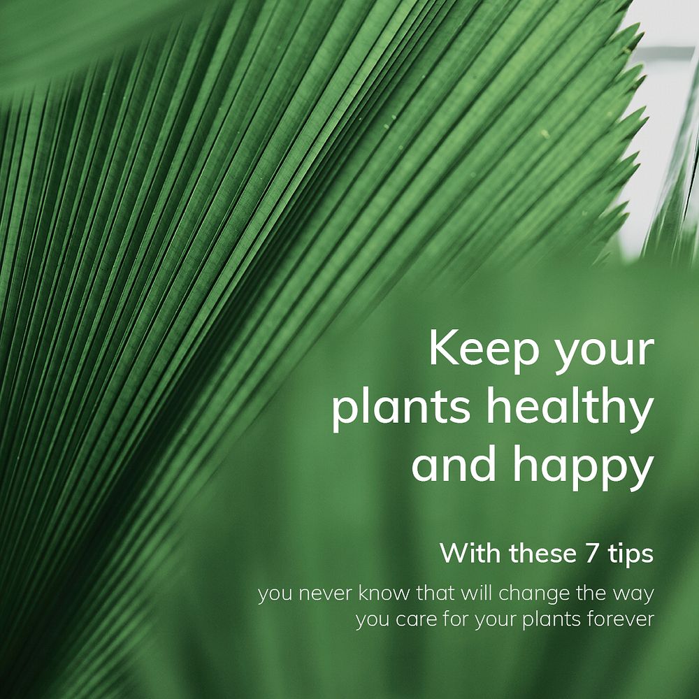 Gardening template psd keep your plants healthy and happy
