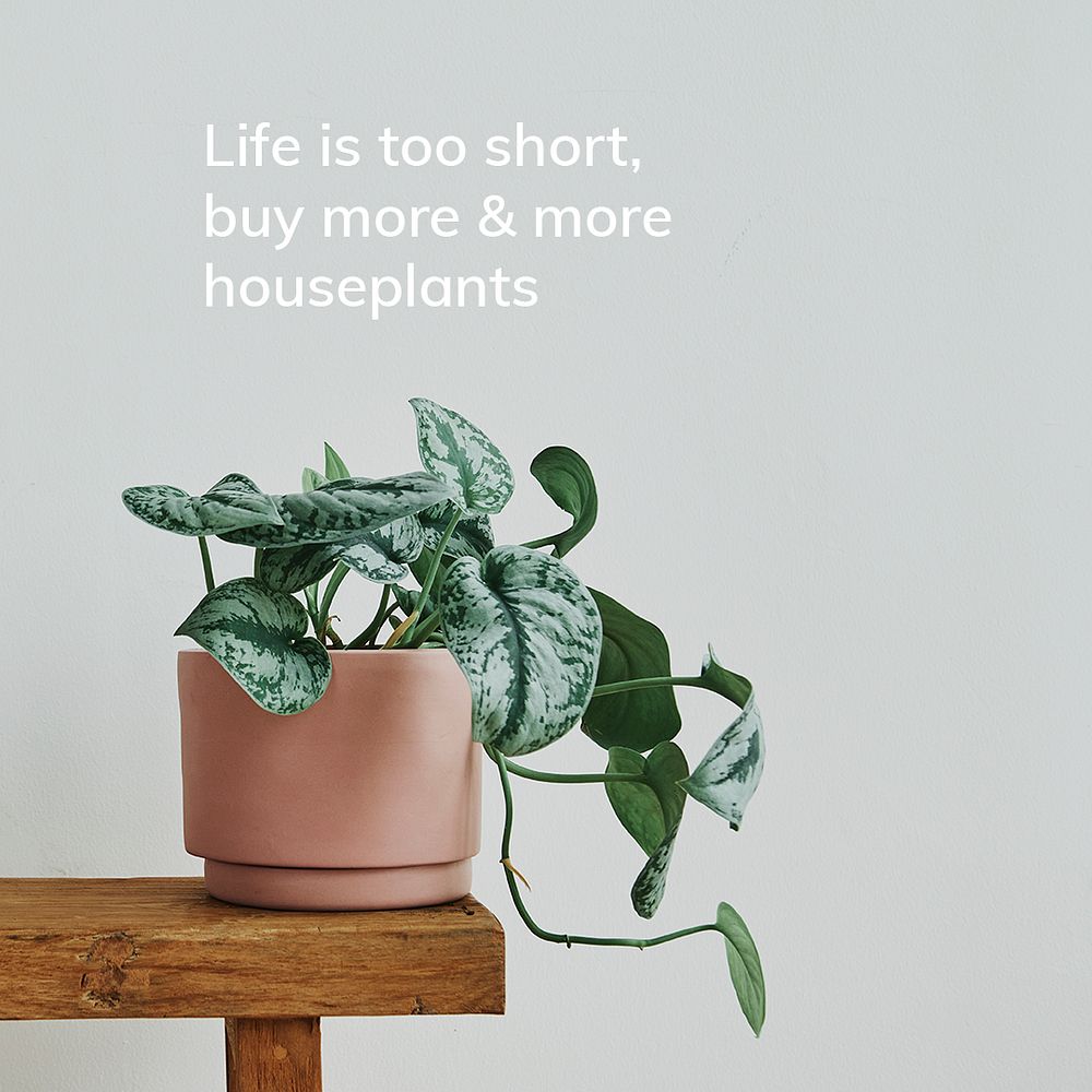 Houseplant quote template psd, life is short buy more and more houseplants