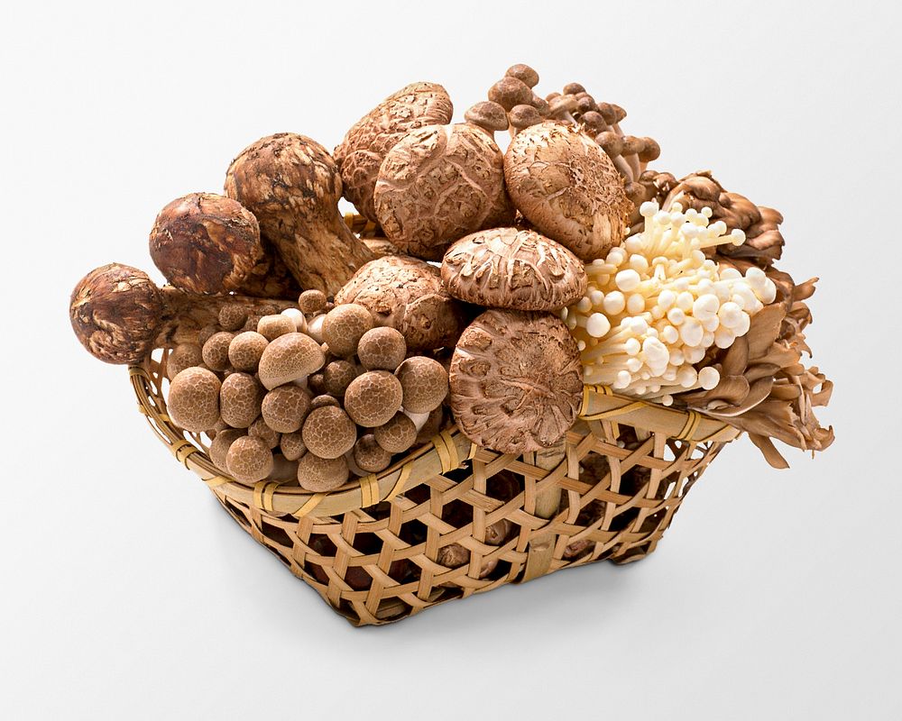 Mushroom basket clipart, various vegetables