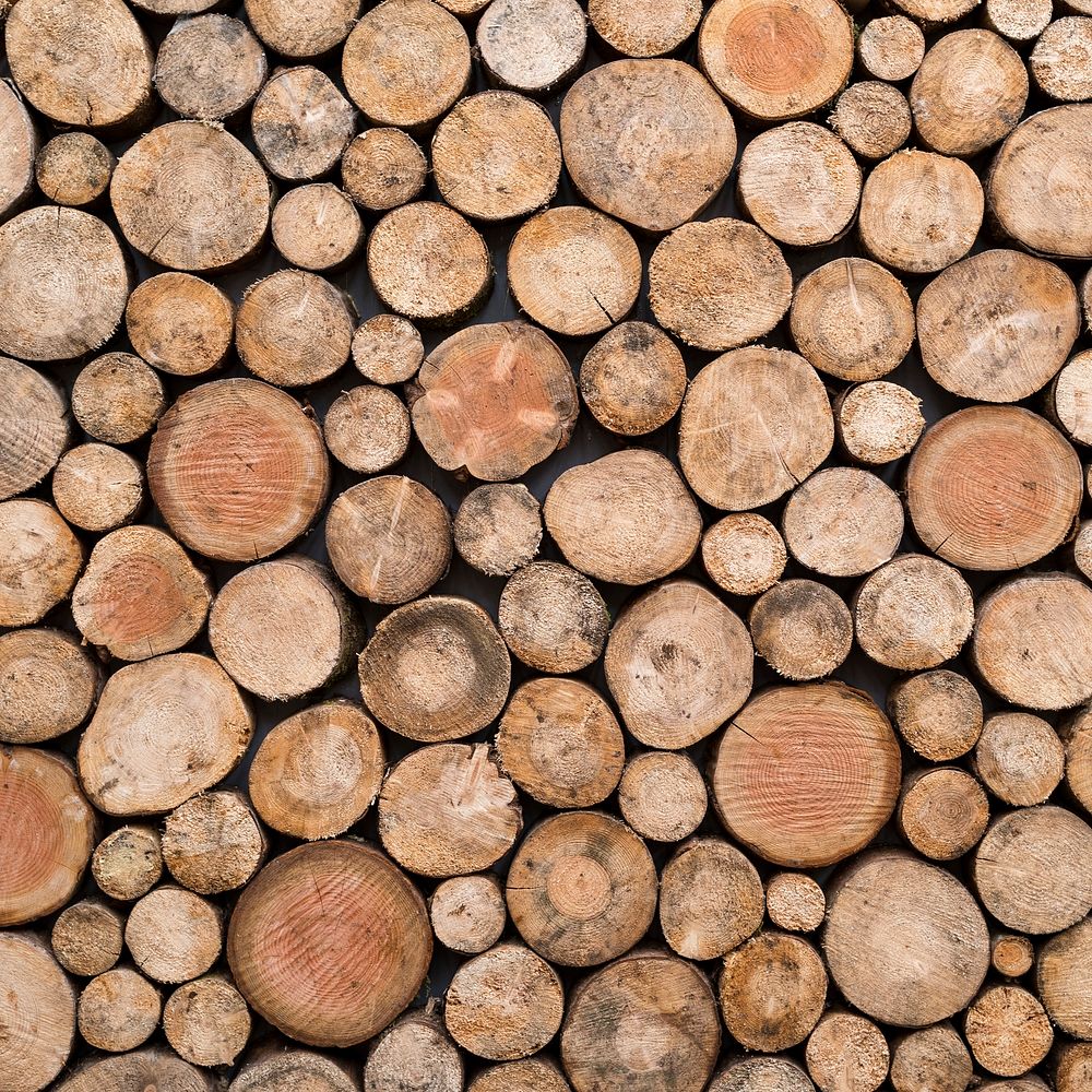 Wood log pattern background, close up design
