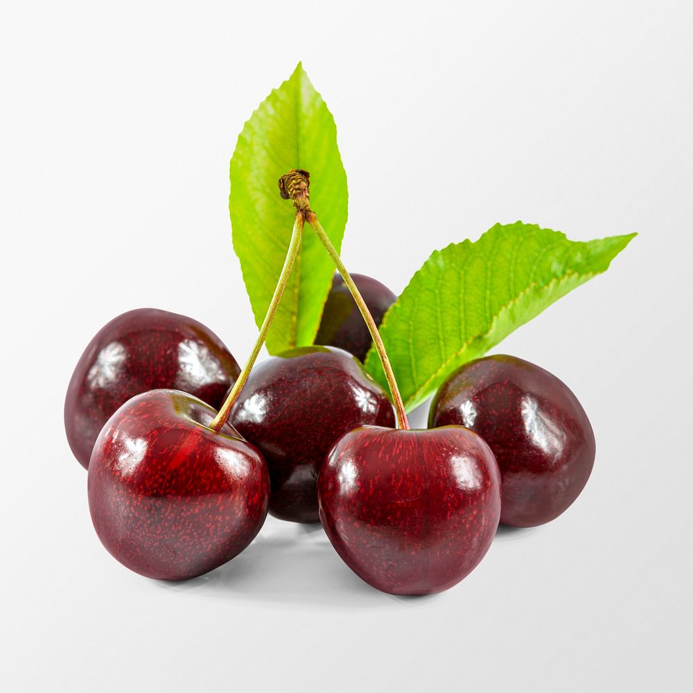 Red cherries clipart, organic fruit on white background