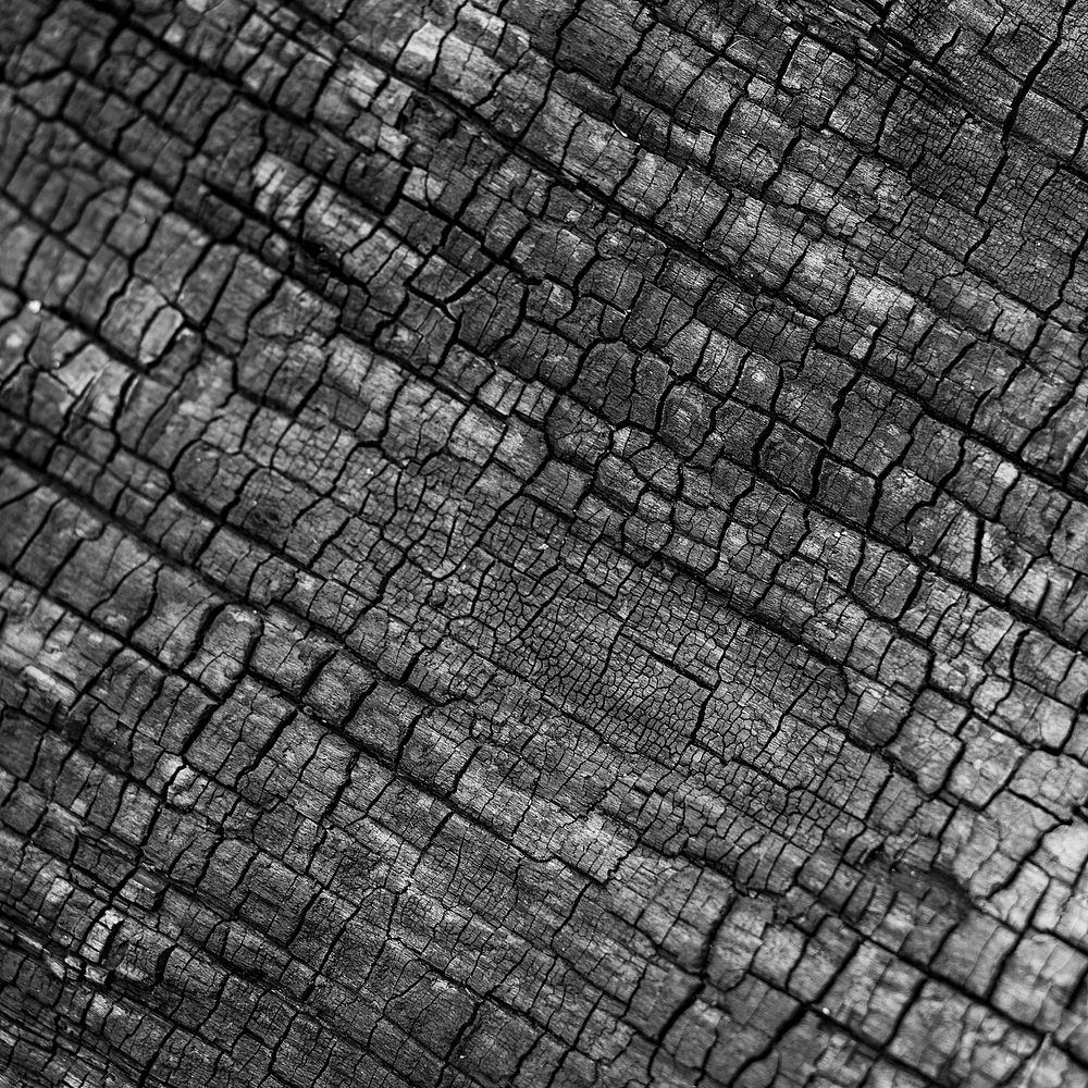 Black wood texture background, abstract design