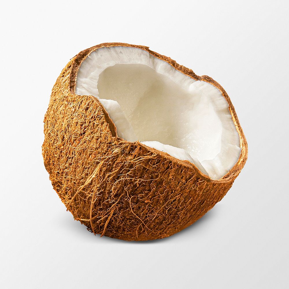 Coconut clipart, tropical fruit on white background