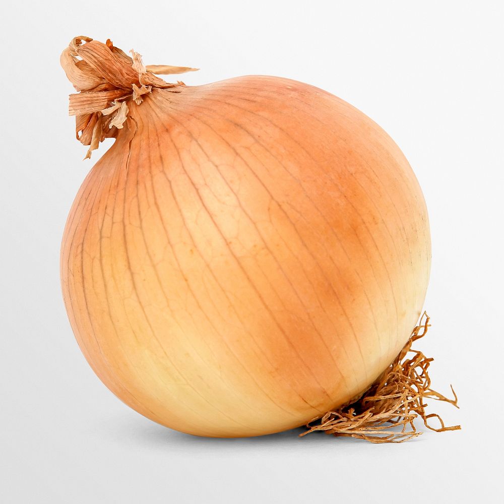 Onion clipart, organic vegetable, ingredient psd